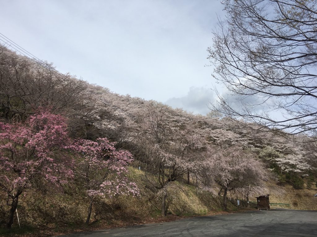 23DA89C4-4DA9-441D-8246-EA052644D63F