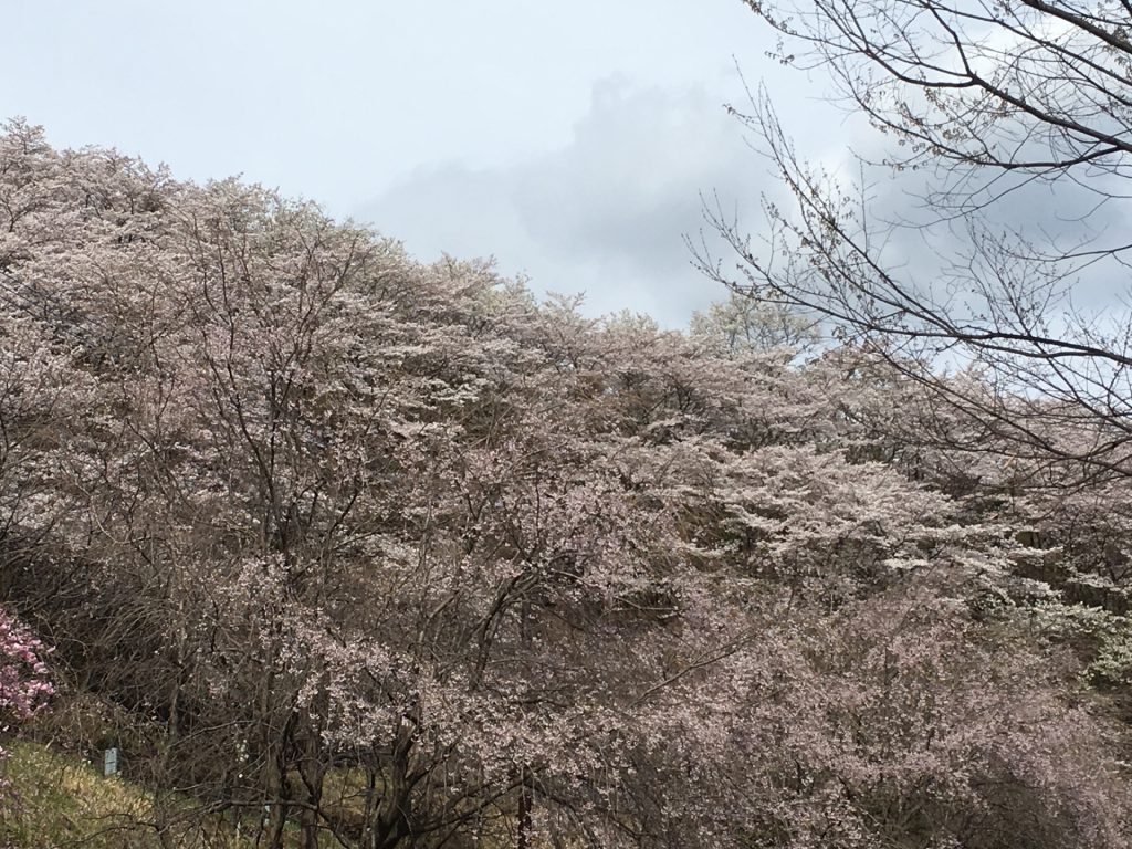 8A641604-9950-487E-8397-E7ED20AFE7B9