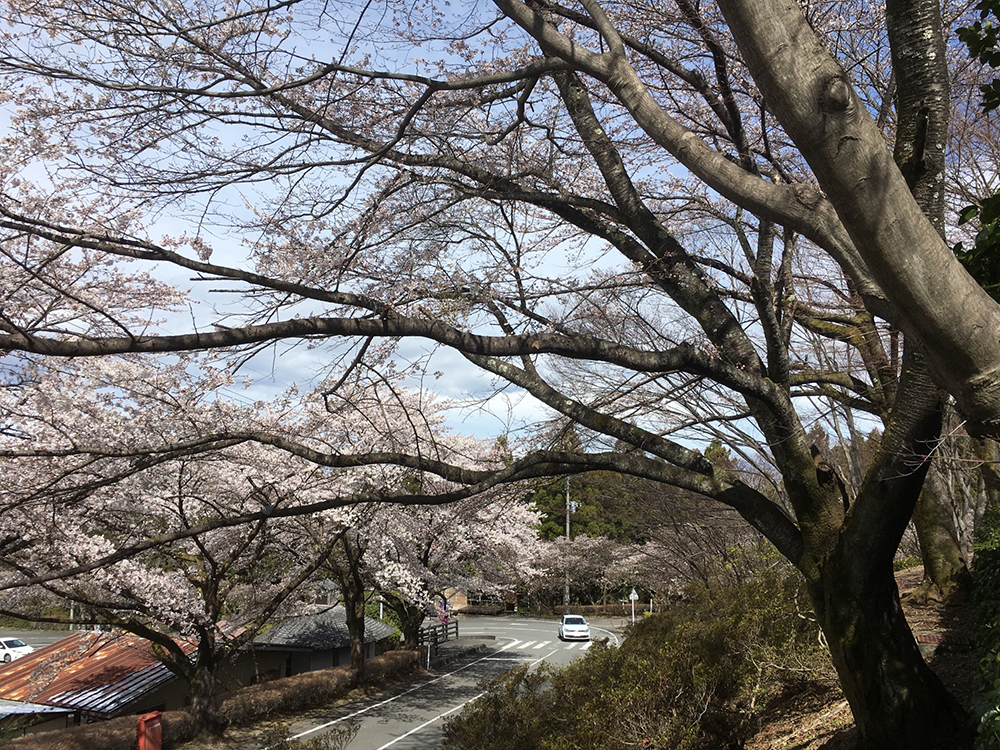 9EB86817-6F76-48FE-A1C9-AACBB11AA98A