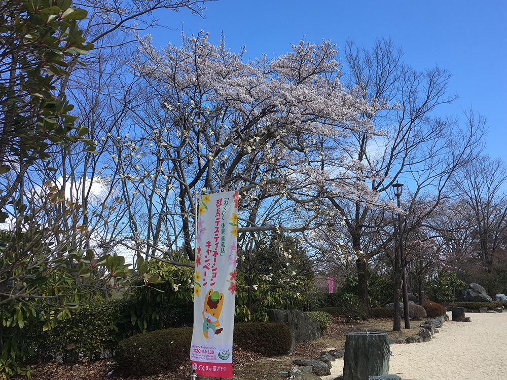 ADF6AD8A-CE54-47F0-AB3C-8A375394EE9D