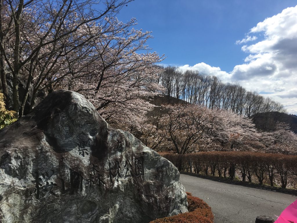 C211C3EC-C296-4EA8-B330-83CD14005C71