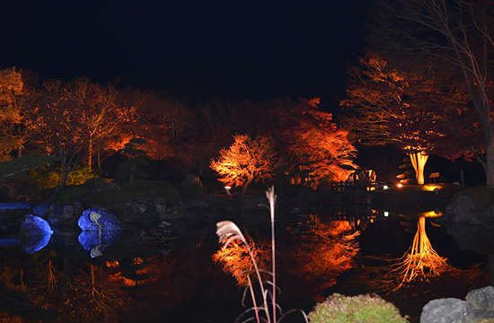 桜山公園の日本庭園