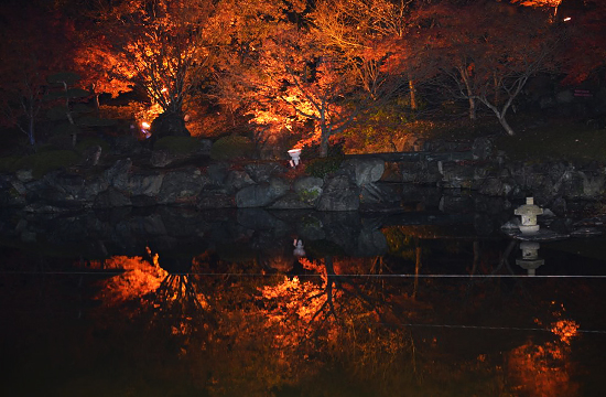 桜山公園の日本庭園