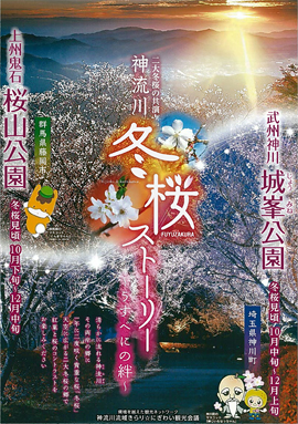 冬桜パンフレット 表