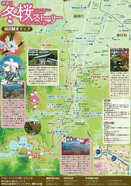 冬桜パンフレト 裏