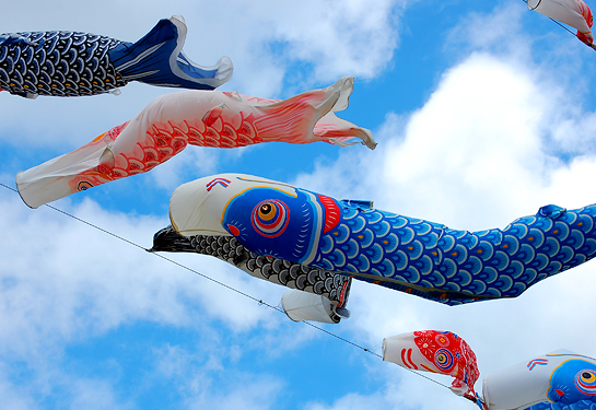 koinobori